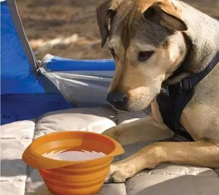 東莞帝博硅膠制品廠