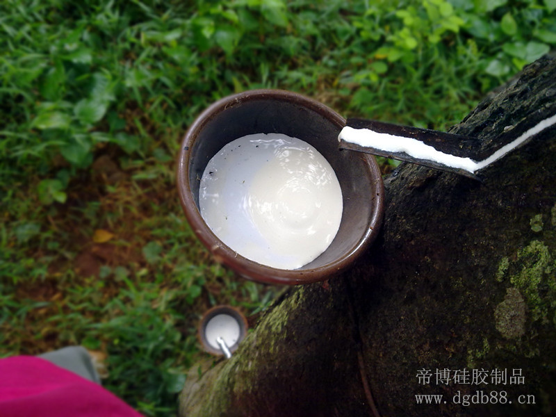 帝博<a href='http://www.dztpw.cn/Products/shuangseguijiaoweizu.html' class='keys' title='點擊查看關于硅膠制品廠的相關信息' target='_blank'>硅膠制品廠</a>家